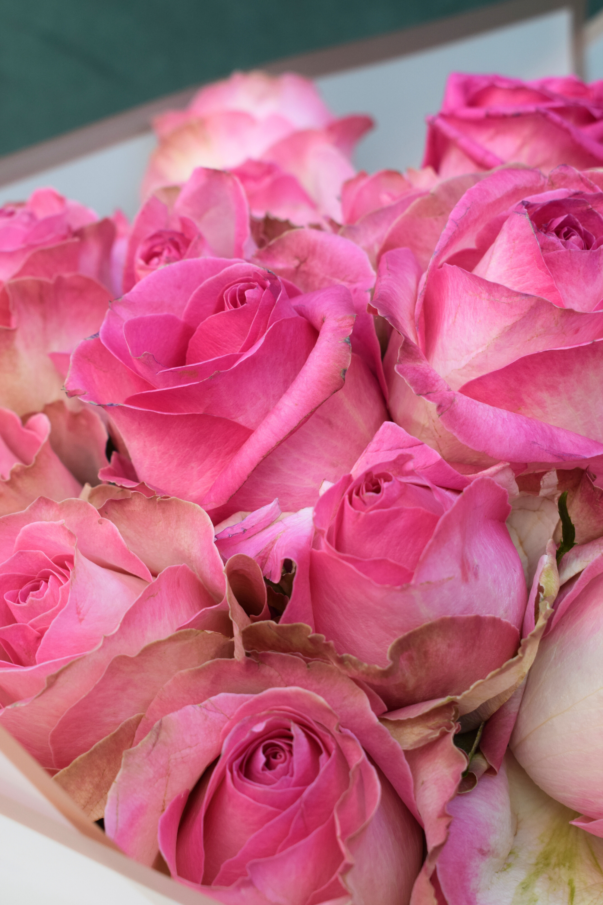 Pink Rose Classic Bouquet – Aspen&Co